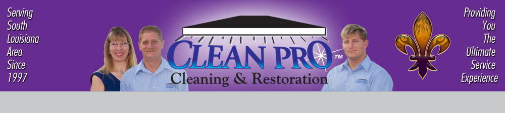 Cleanproheading2BR