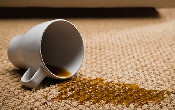 carpet_stain_removal_Brighton